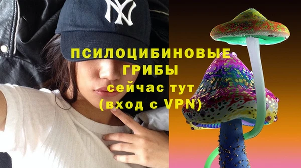 МДПВ Новодвинск