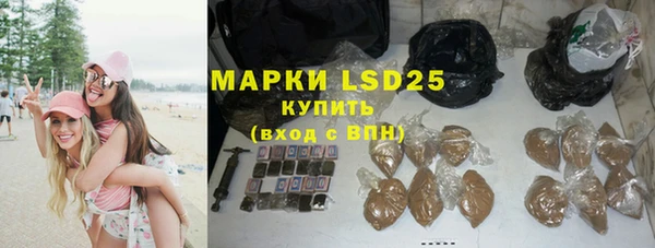 PSILOCYBIN Абдулино