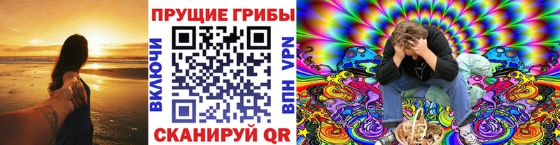 хочу наркоту  kraken сайт  Псилоцибиновые грибы мухоморы  Каргополь 